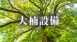防蟻処理の必要性と相場について