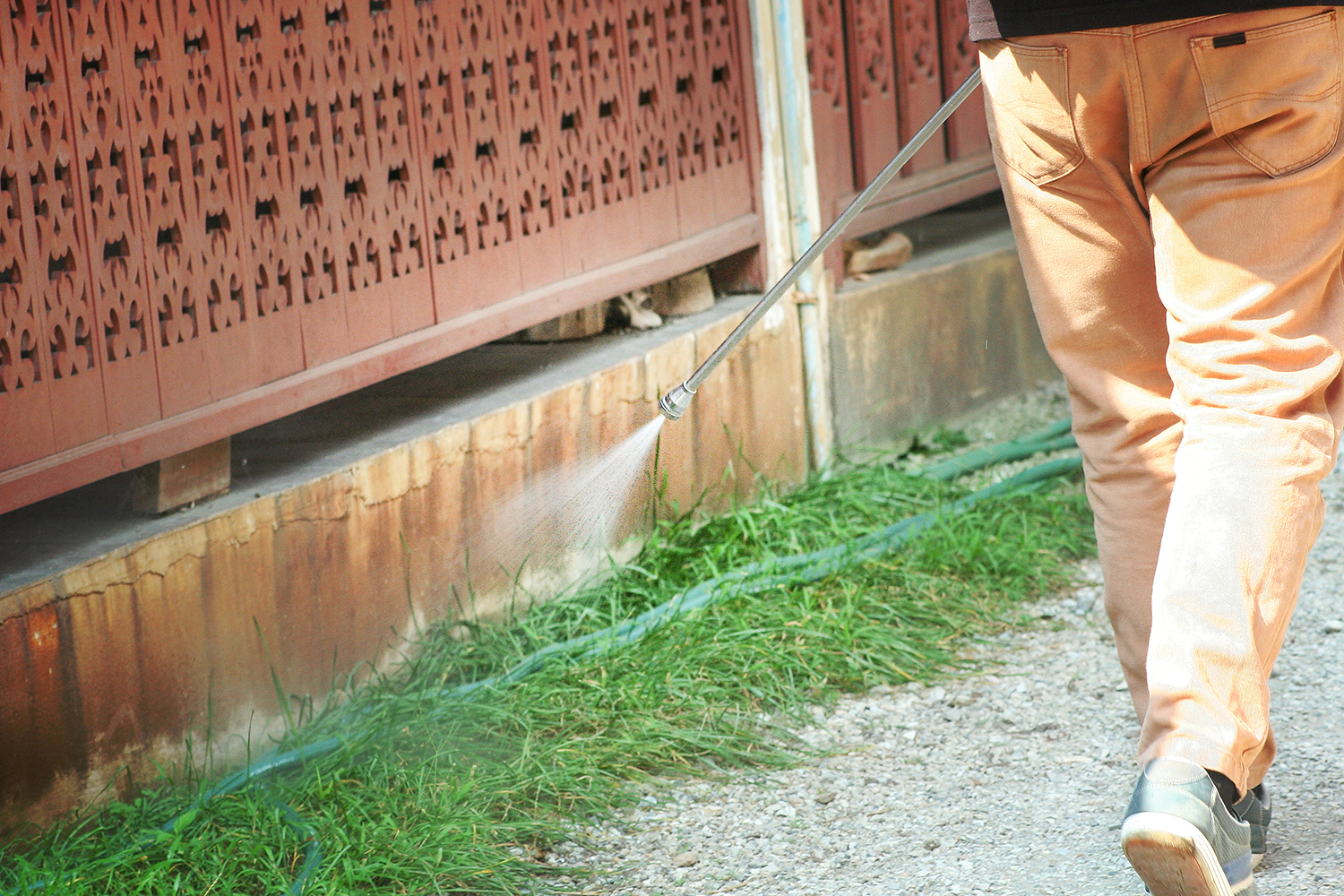 シロアリ駆除 シロアリ駆除なら久留米市の大楠設備へ